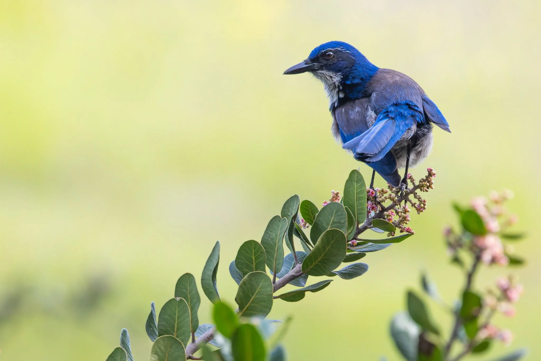 8Z1A7878-DxO_DeepPRIME 3.jpg