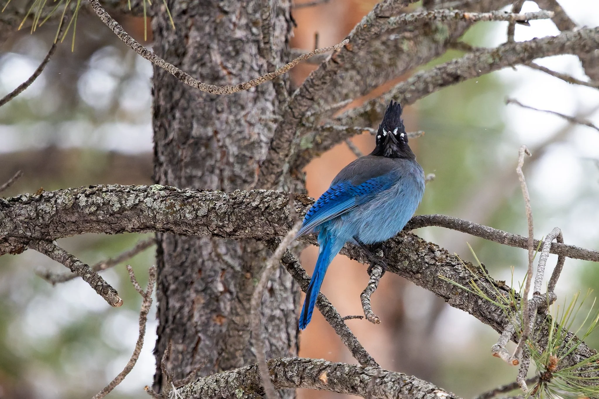 4P5A1046-DxO_DeepPRIME 3.jpg