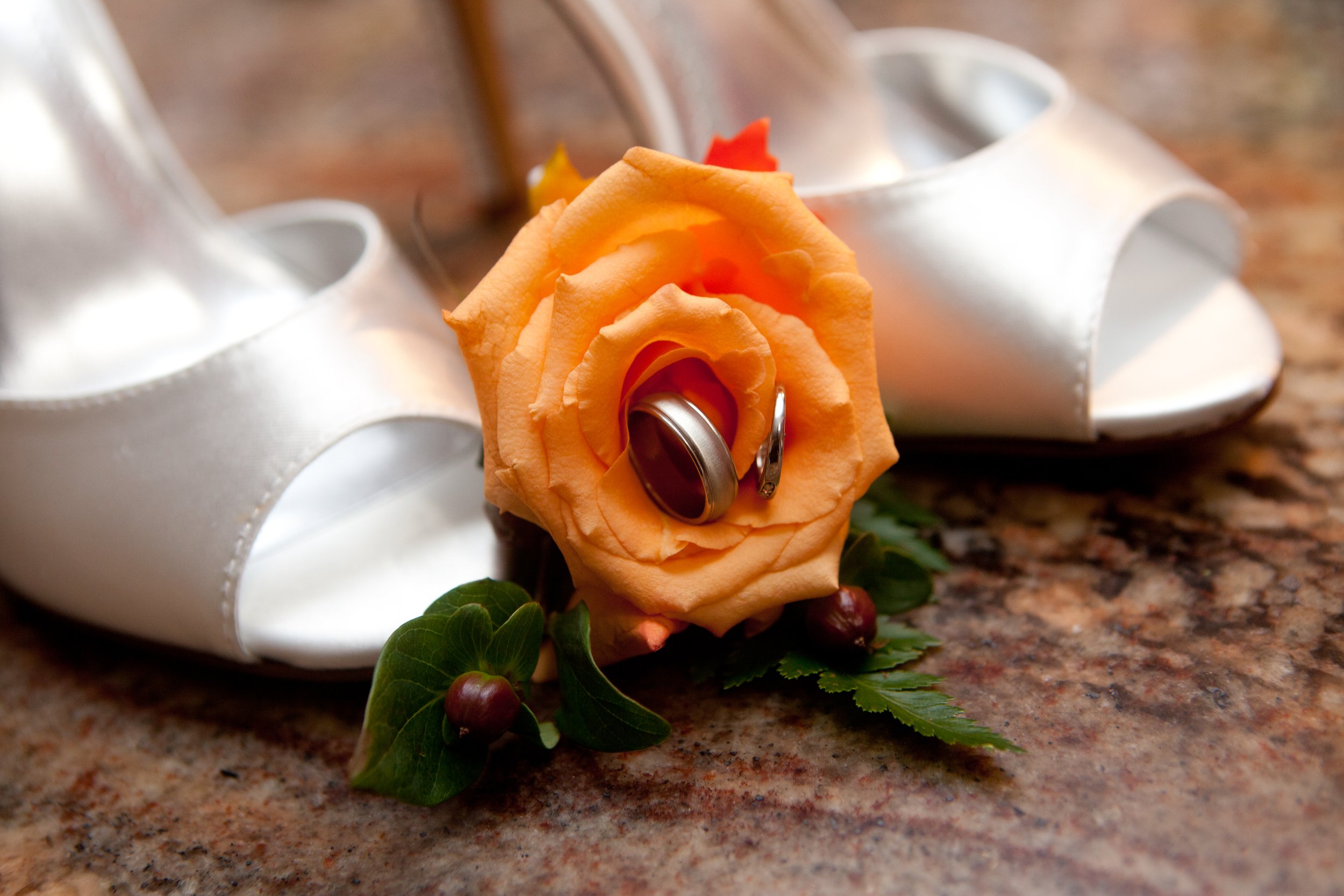 10.3.15_Natalie_Shawn_WED-19.jpg