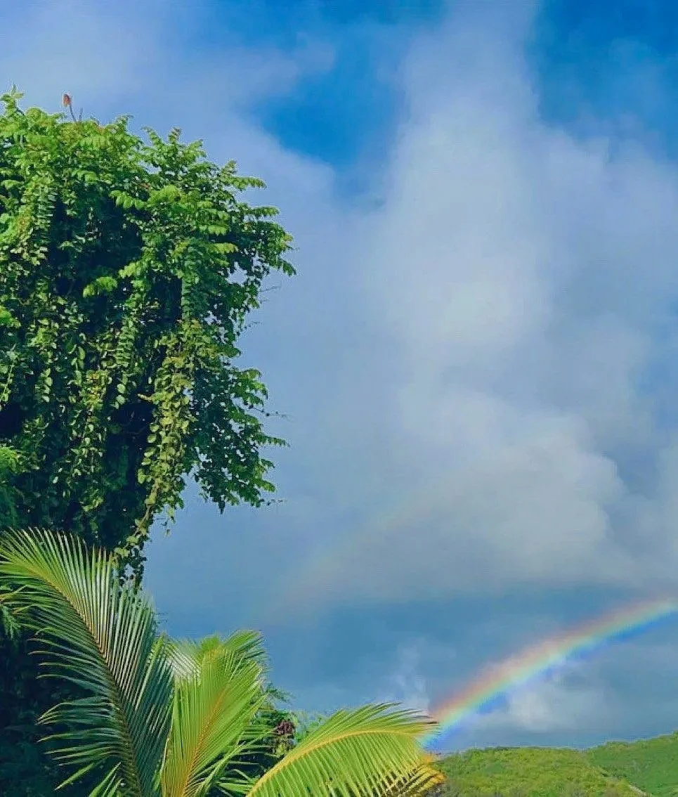 Nature photography