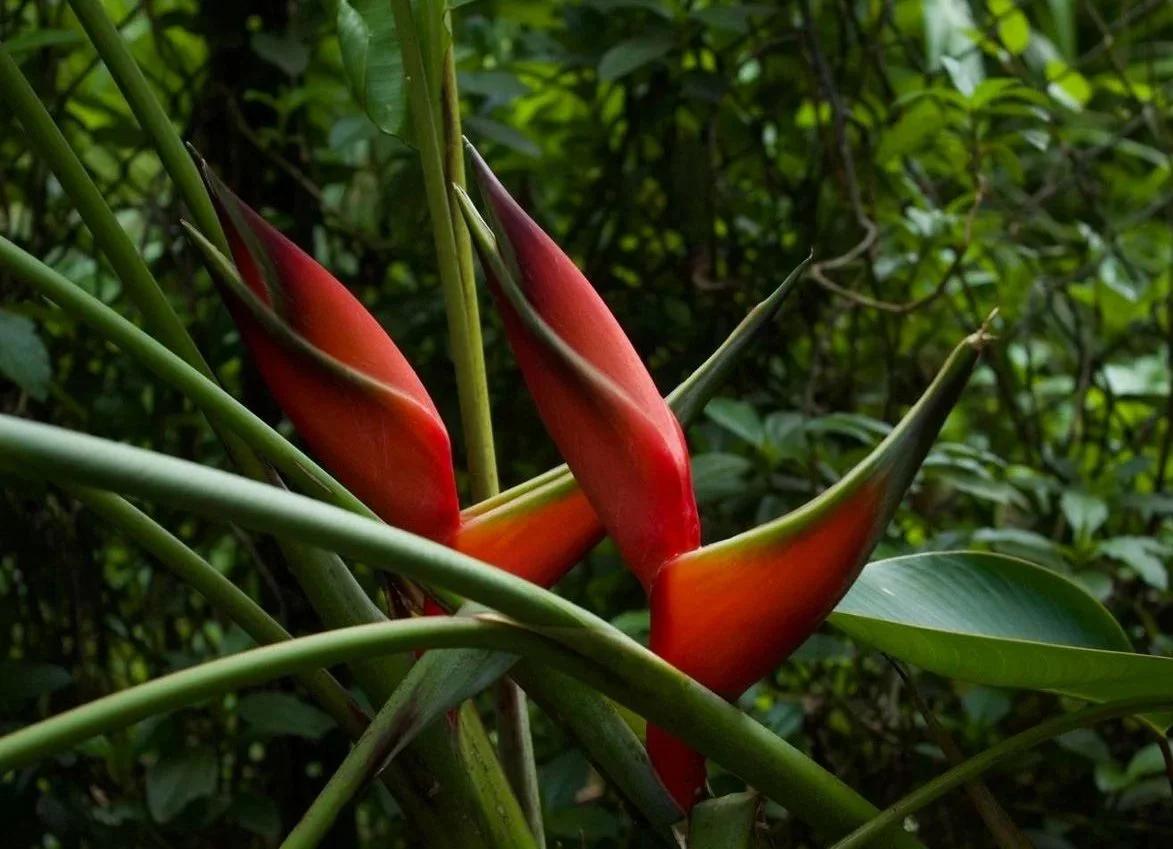 Nature photography 
