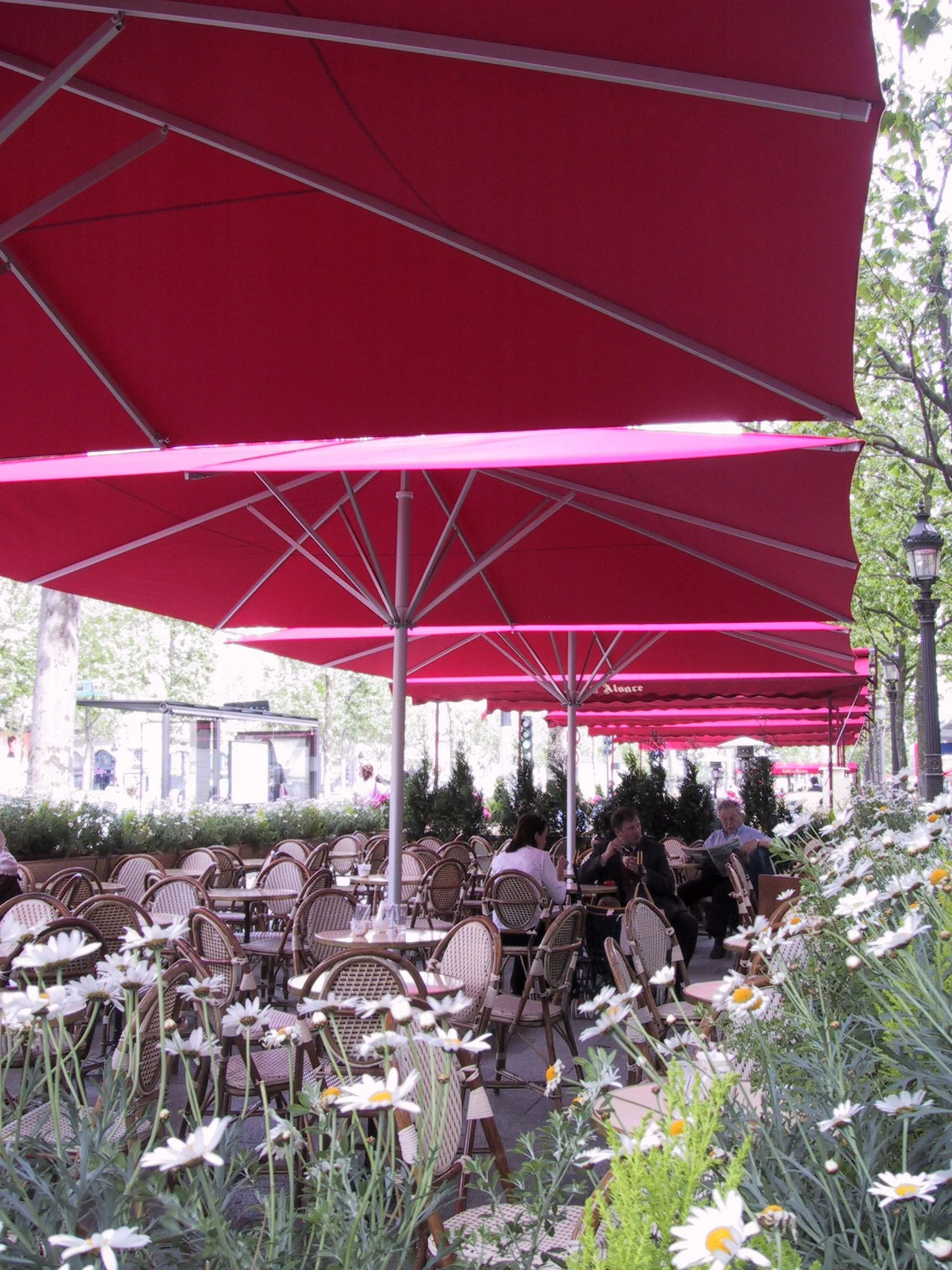 Outdoor café with pink umbrellas, empty tables and chairs, some people sitting and talking, surrounded by daisies and greenery.
