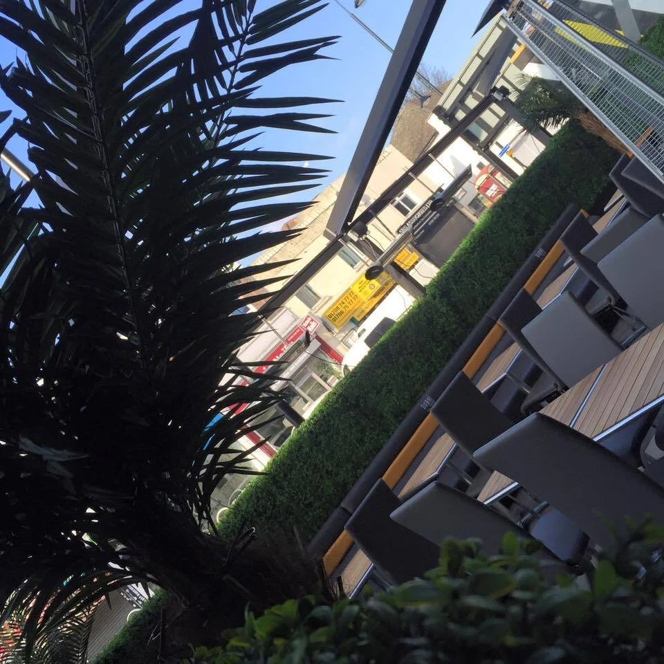 An outdoor seating area with chairs and tables, a large palm plant, and a green hedge, overlooking a city street with buildings and signs.