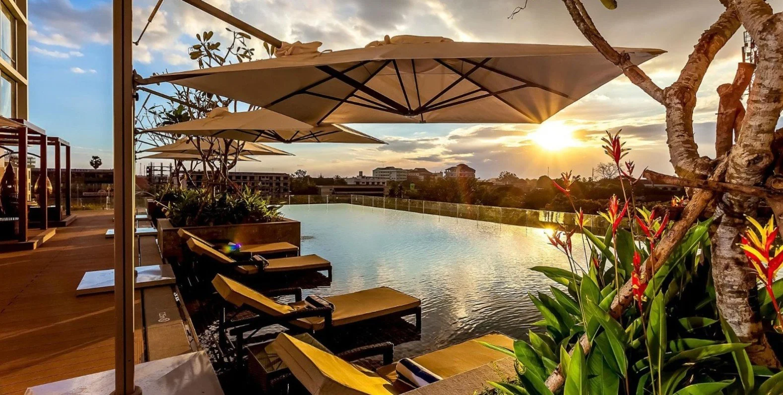 Commercial Parasol (3).jpg