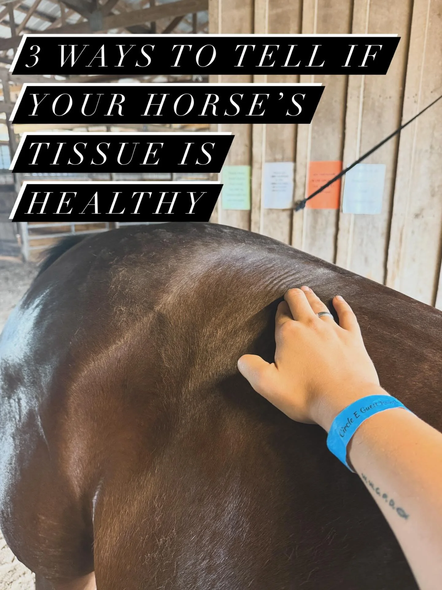 A lot of people think strong muscles = hard muscles&hellip;
But that&rsquo;s actually one of the biggest misconceptions I run into.

More often than not, those &ldquo;rock hard&rdquo; muscles are actually stuck in a shortened, dehydrated state.
They&