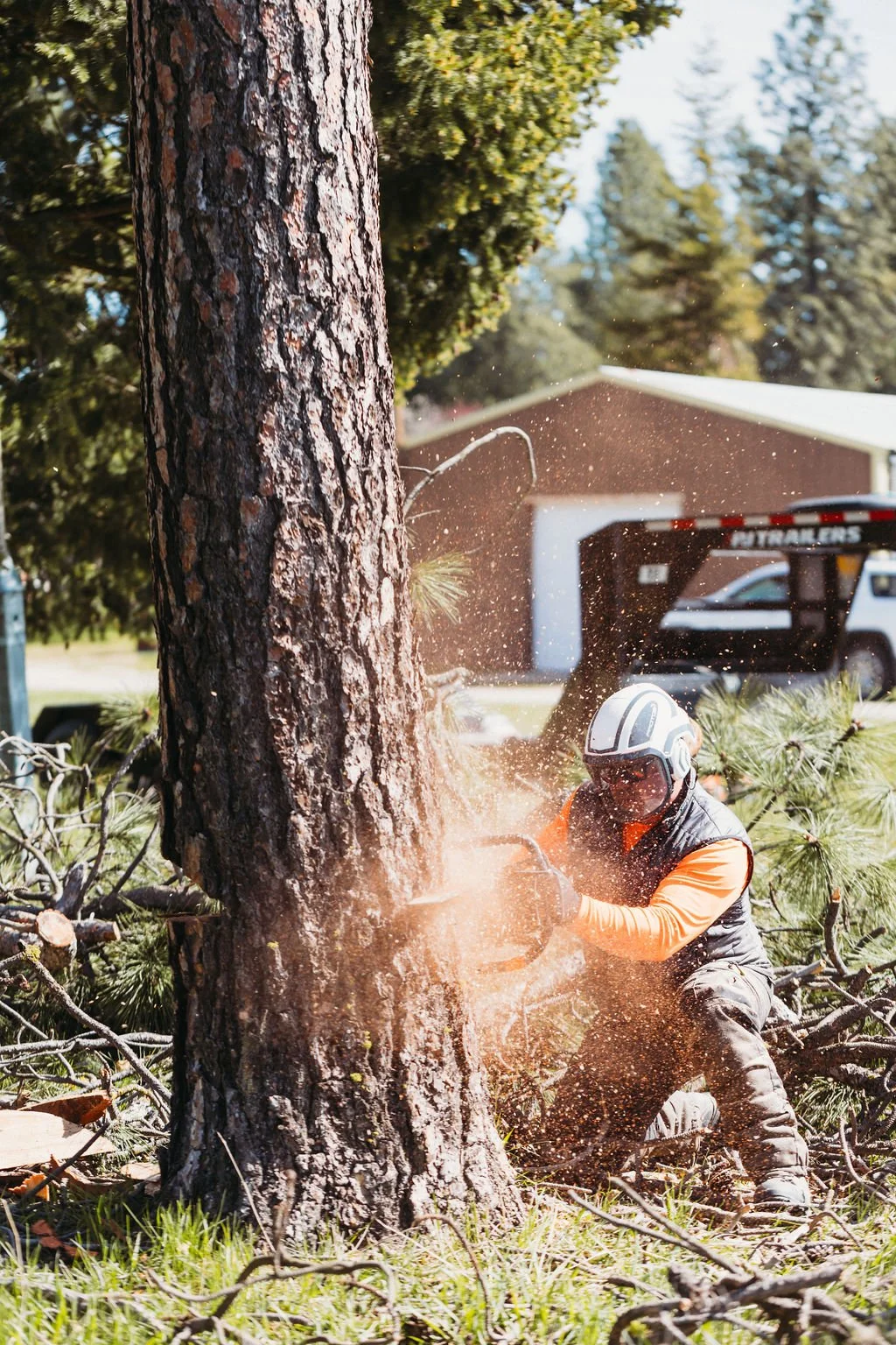 A person wearing safety gear cuts a fallen tree with a chainsaw, debris flying, in a yard with trees and a building in the background.