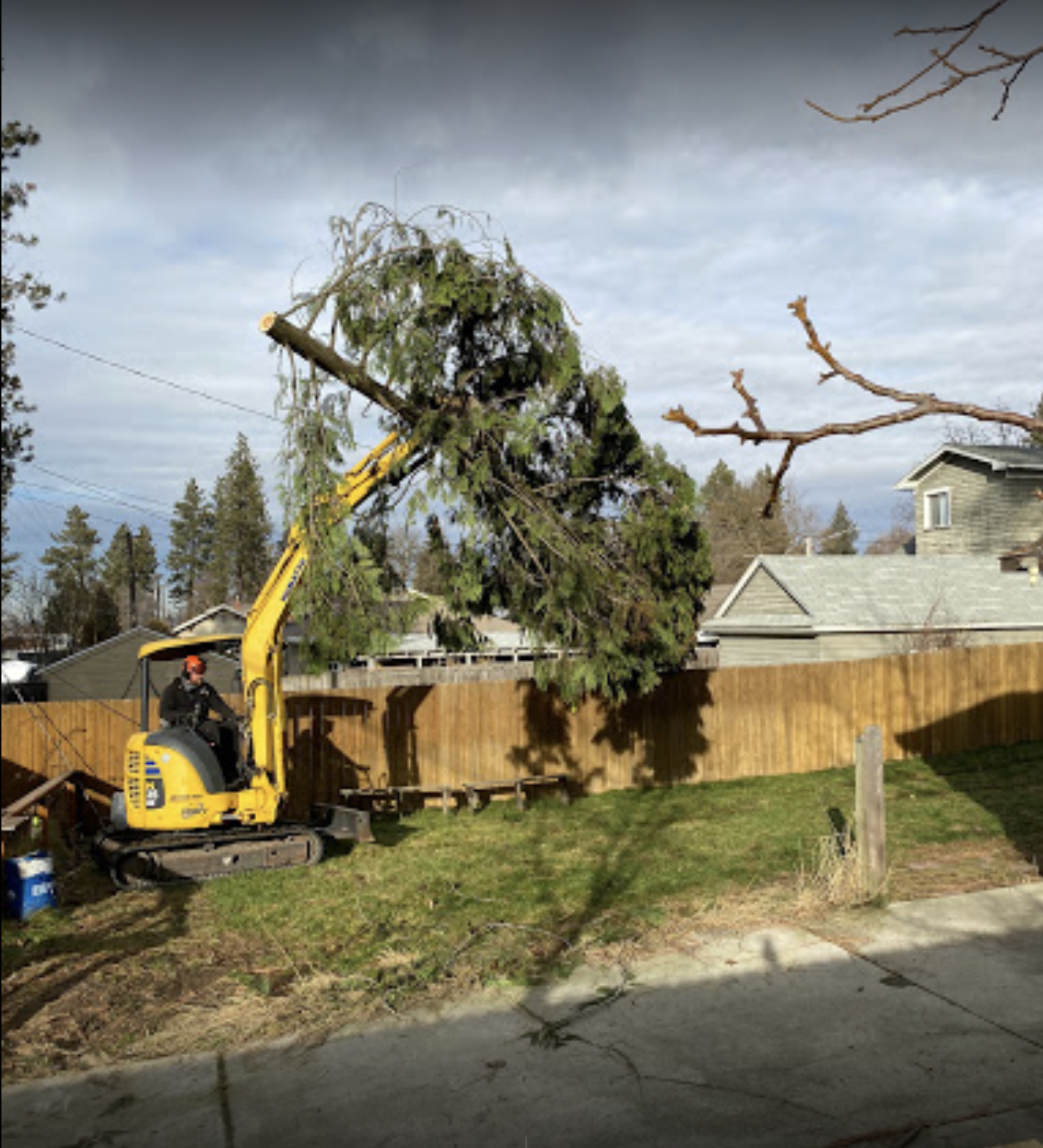 Excavator tree removal in residential backyard Spokane Valley- Brett's Tree Service land clearing