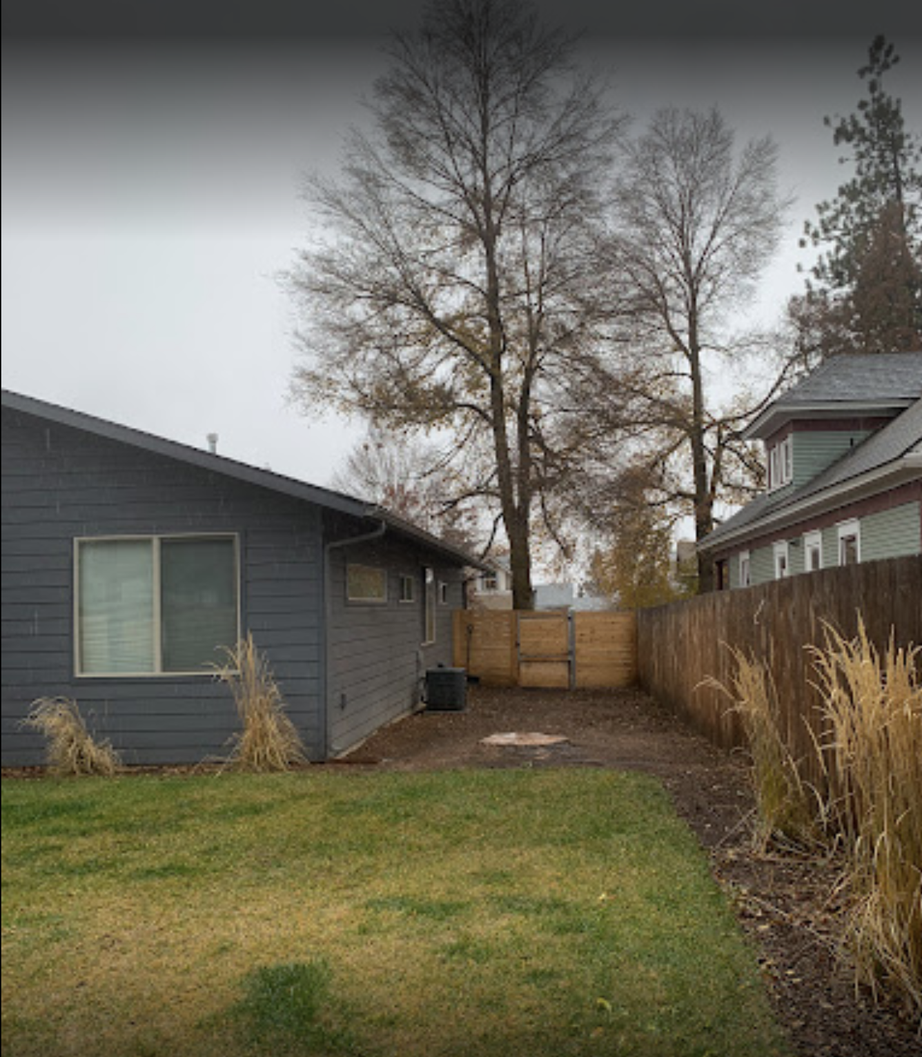 Backyard scene with a green lawn, a wooden fence, a gray house on the left, and a neighboring house on the right. Tall leafless trees are in the background on an overcast day.