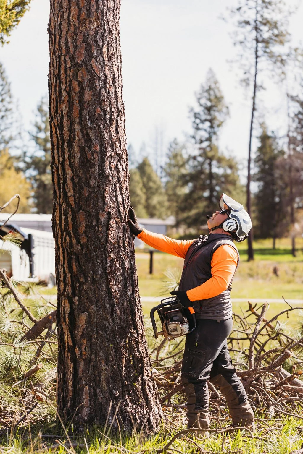 A person wearing a helmet, gloves, and outdoor clothing, holding a chainsaw in one hand and leaning on a large tree trunk after cutting it down, with fallen branches and foliage around.