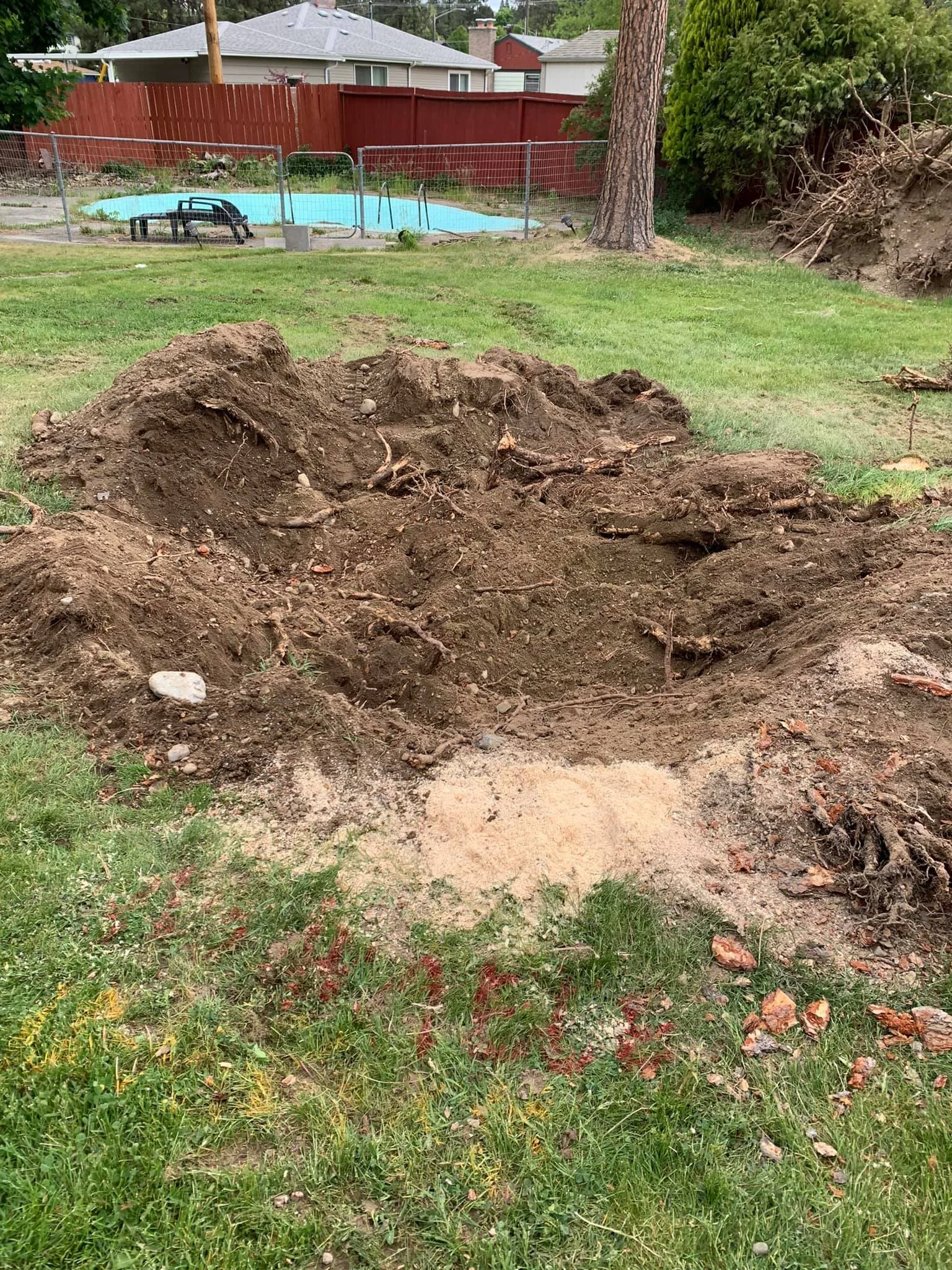 A large hole dug in a grassy backyard with patches of bare soil and some rocks, near a tree trunk, with neighboring houses and a fenced-in swimming pool in the background.