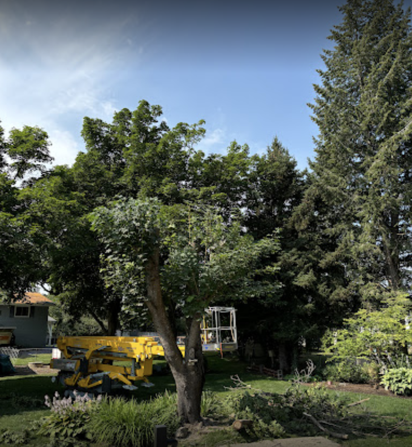 Residential tree service with yellow lift in backyard with playground in Spokane Valley  - Brett's Tree Service LLC 