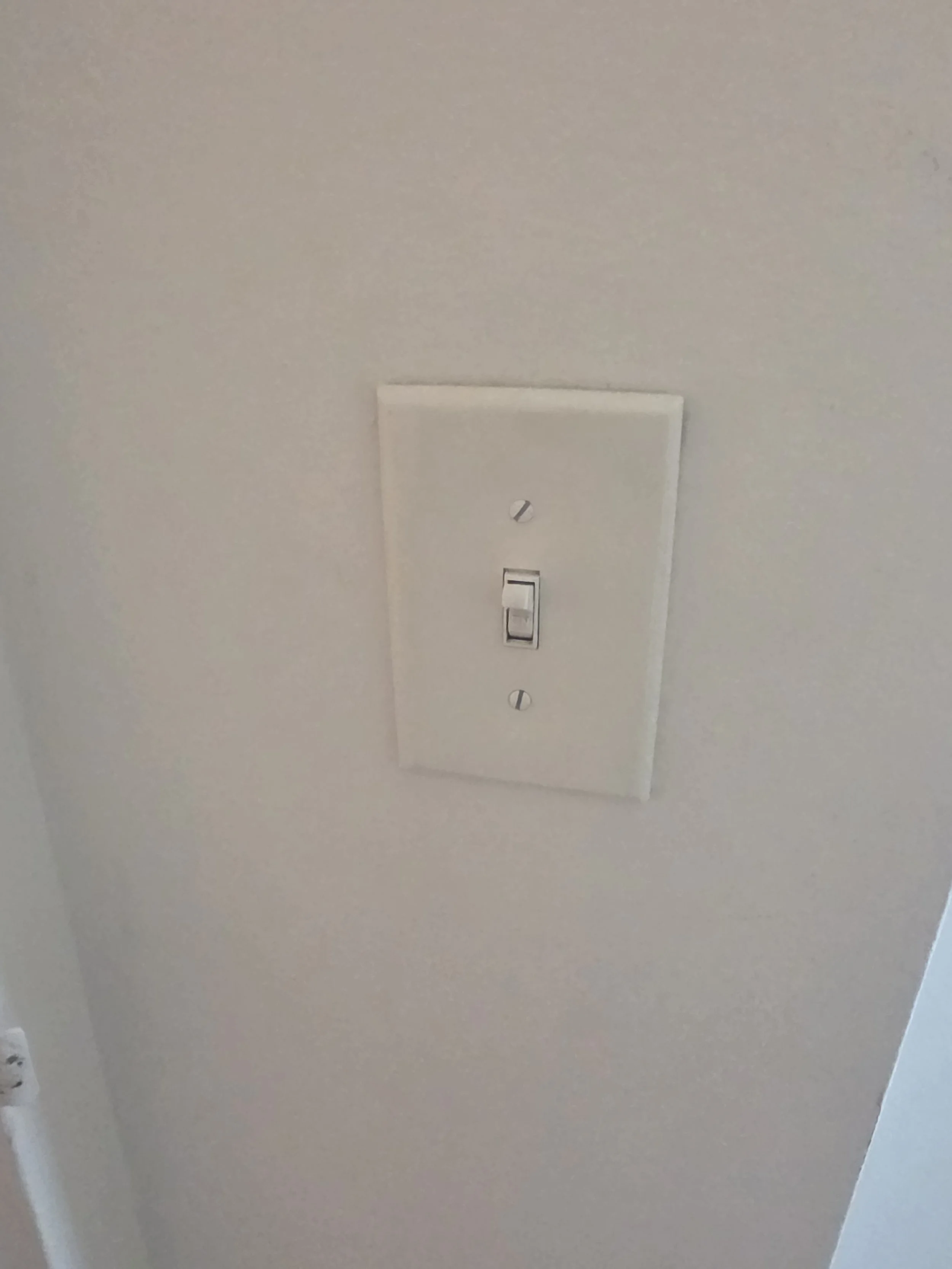 7962.jpg