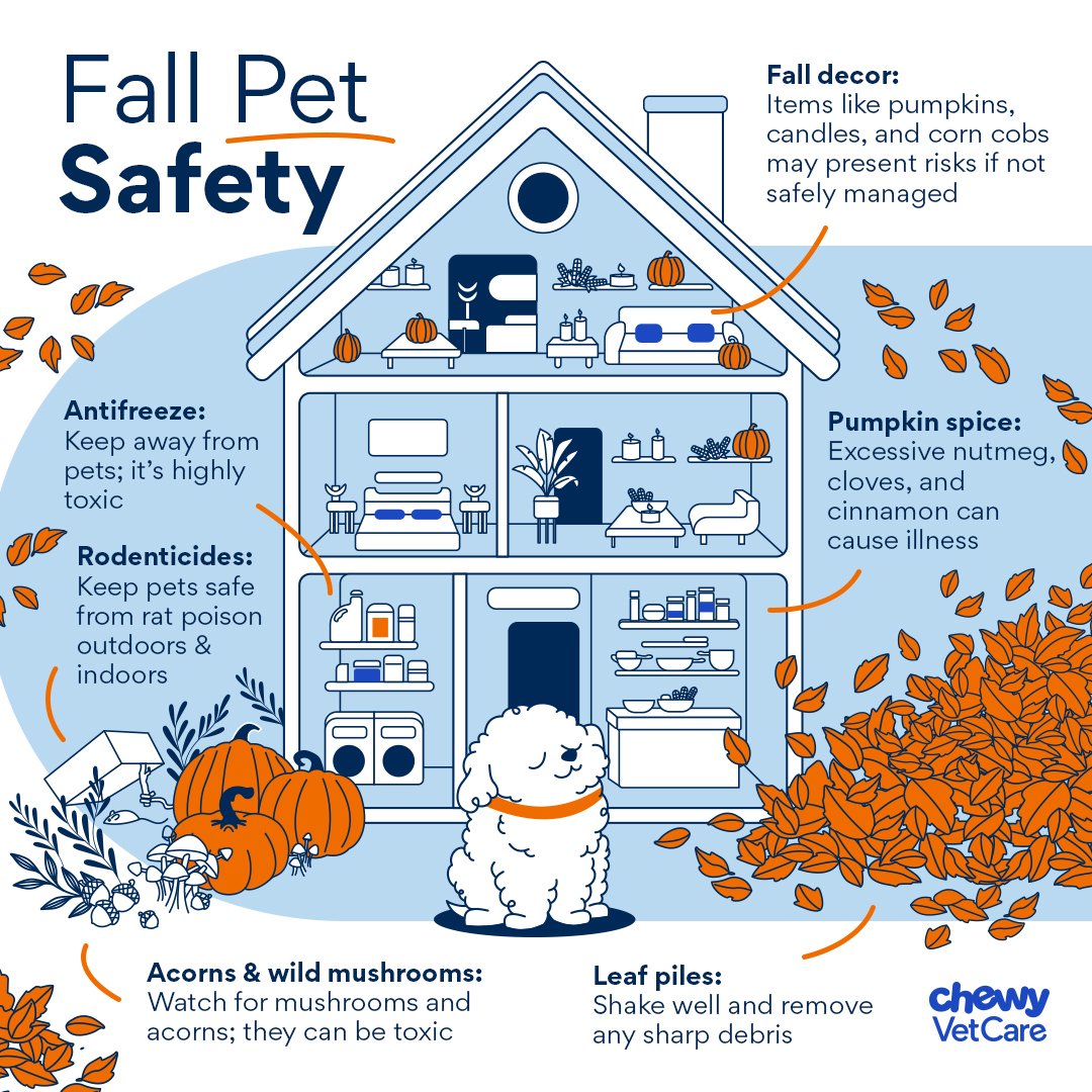 Fall pet Safety.jpg