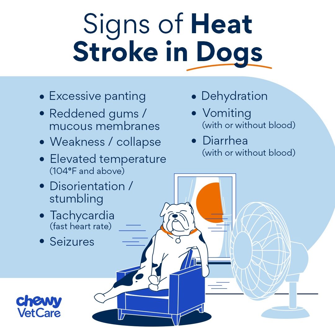 Signs of heat stroke.jpg
