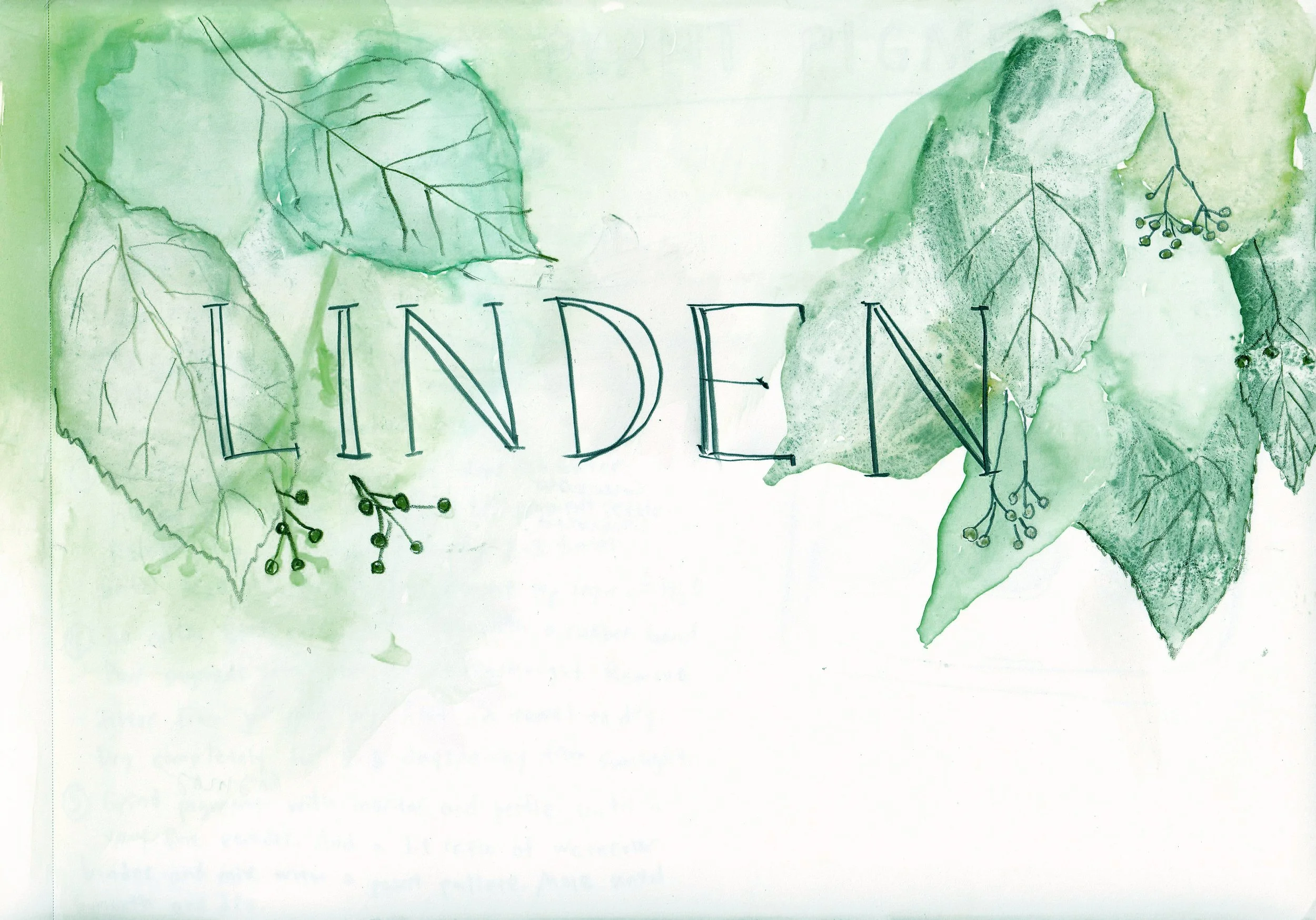 garden journal_linden.jpg