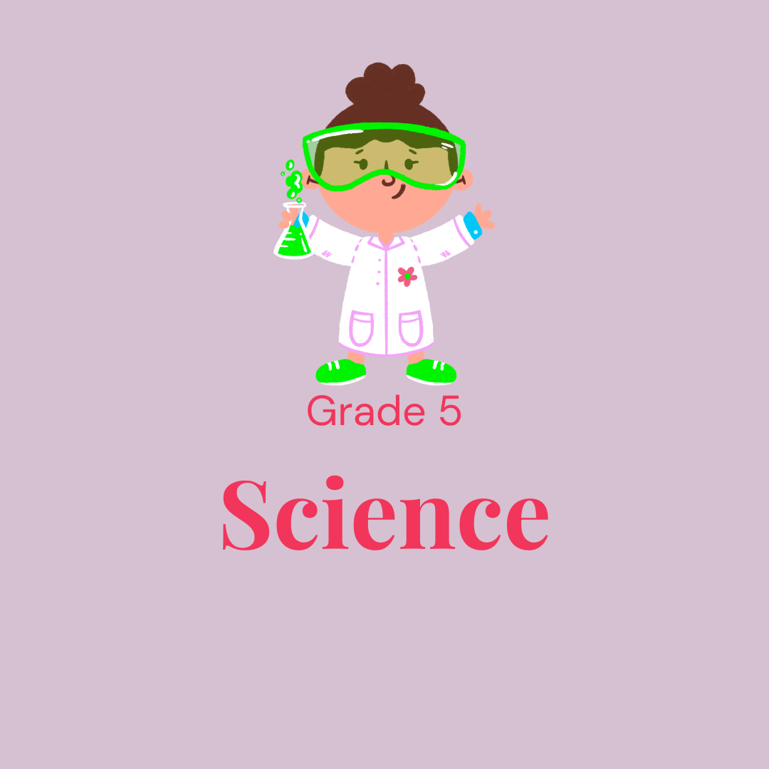 science5.png