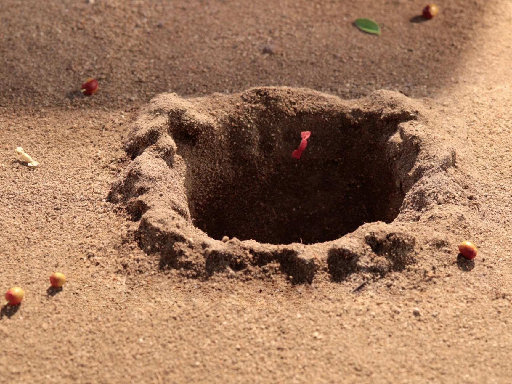 Screen Shot 2026-01-07 at 4.24.24 PM.png