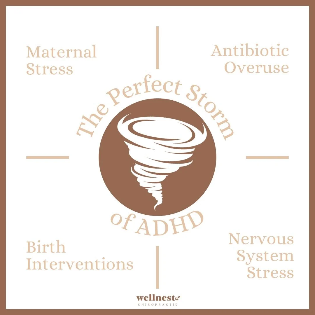 Are you tired of feeling like your child&rsquo;s ADHD diagnosis is just a label? Despite scientific evidence to the contrary, some still believe that ADHD is caused by poor parenting, too much sugar, or excessive screen time. However, the truth is fa