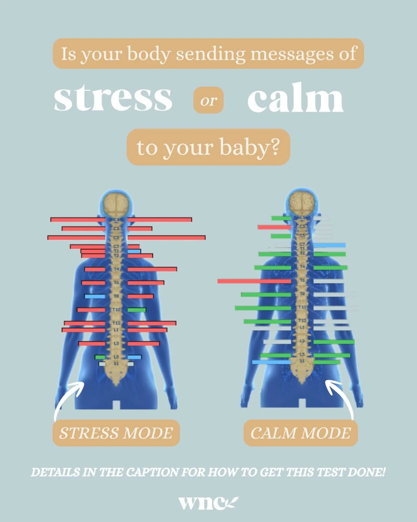 Your baby starts learning from you before they are even born 🥹👩&zwj;🍼
Every signal teaches your baby&rsquo;s developing nervous system how to respond to the world. When you are under regular care during your pregnancy, not only do you get to exper