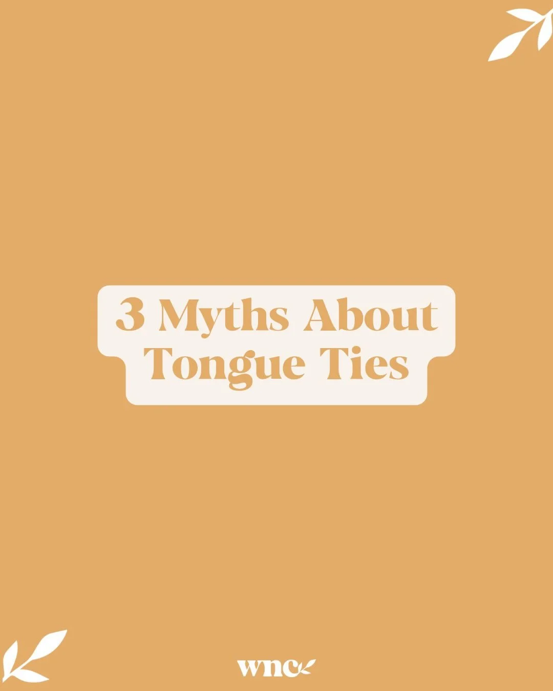 Let&rsquo;s bust some tongue and lip tie myths! To read more, click the link in our bio or comment &ldquo;tie&rdquo; and we&rsquo;ll send you the article!
To schedule your child&rsquo;s first consultation, DM us! We would love to hear more about thei