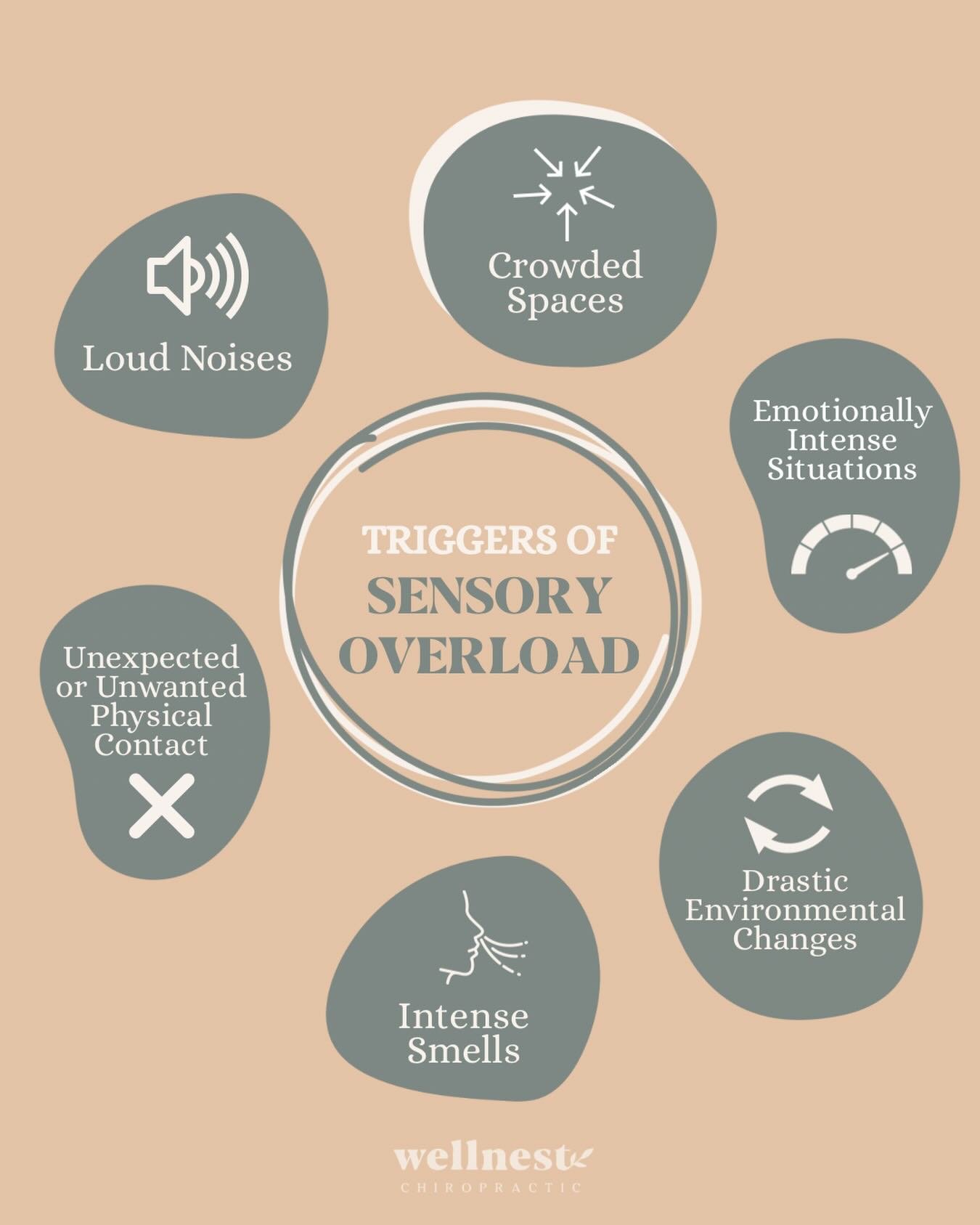 When the World Feels Like &ldquo;Too Much&rdquo; for Your Child ⬇️
🌿 Loud noises
🌿 Busy stores
🌿 Crowded classrooms
🌿 Big emotions
🌿 Unexpected touch
🌿 Strong smells
For some kids, these everyday experiences can feel overwhelming, not because t