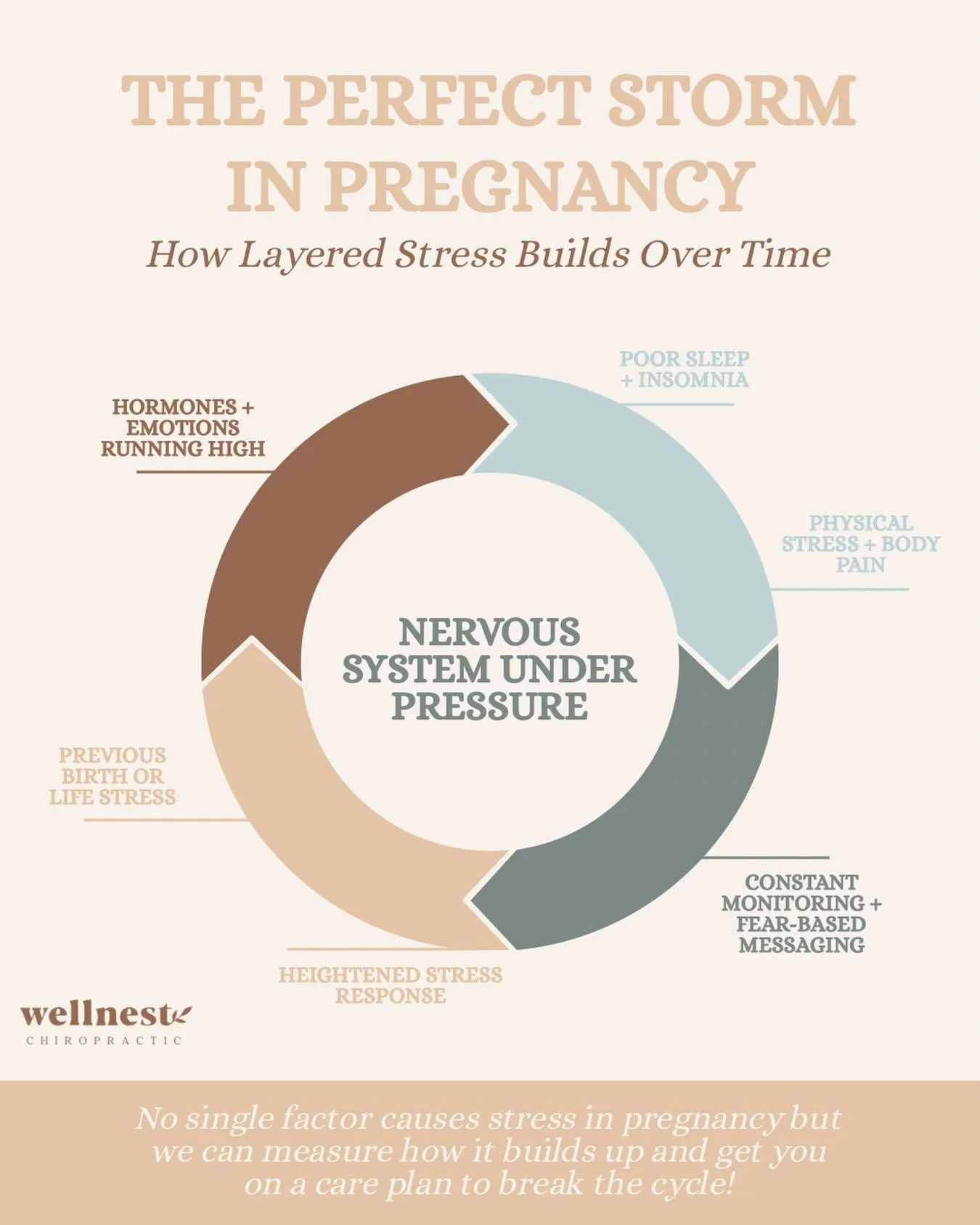 All that monitoring. All that testing. All those moments of &ldquo;we need to keep an eye on this.&rdquo; But nobody mentioned what chronic stress does to a developing baby&rsquo;s nervous system.
Did you know challenges like colic, reflux, and senso