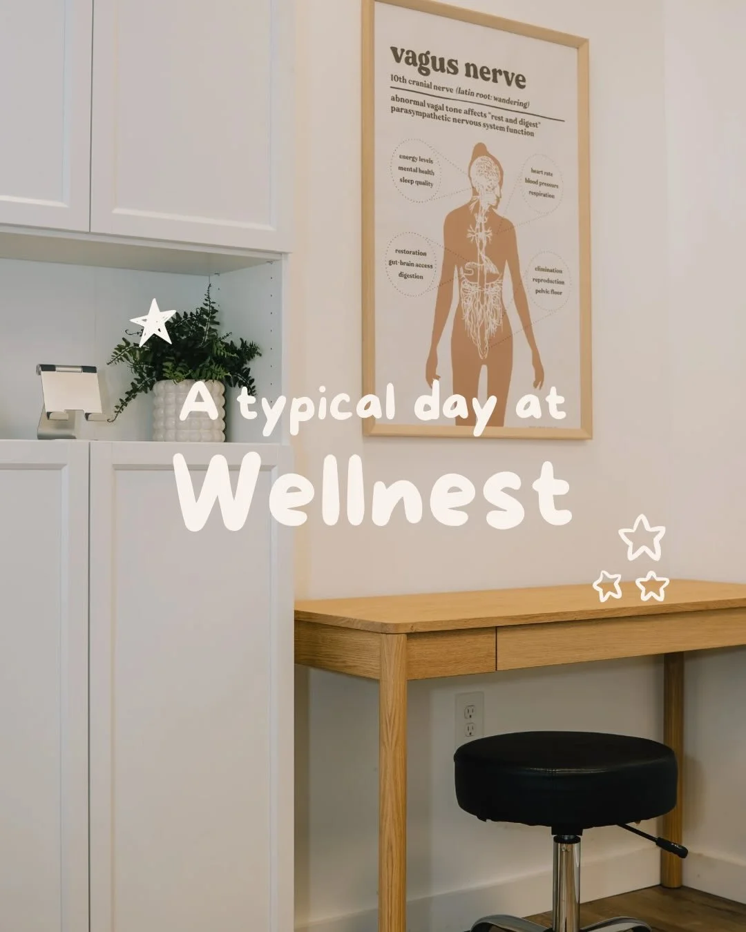 Just a little &lsquo;day in the life&rsquo; here at Wellnest🤗