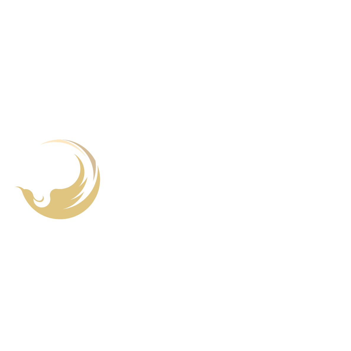 Liliana's Website