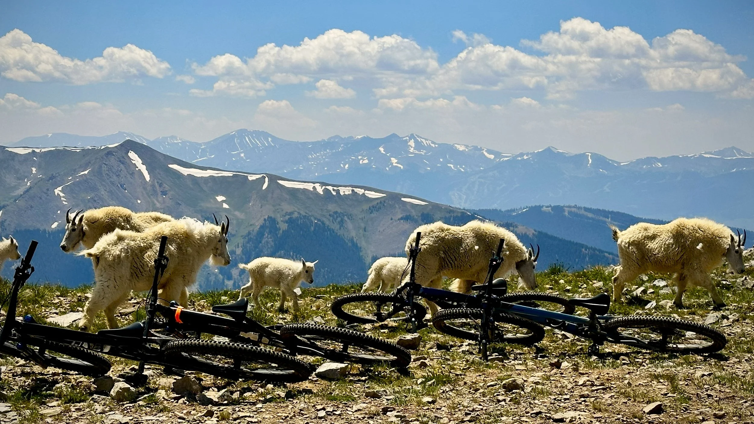 Mountain Bike Adventures - Youth Mountain Biking