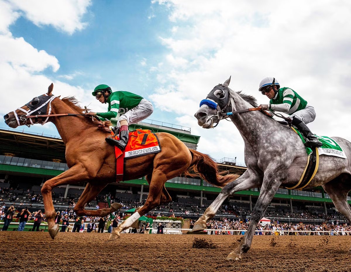 DEATH RACE: WHO’S KILLING SANTA ANITA’S THOROUGHBREDS?