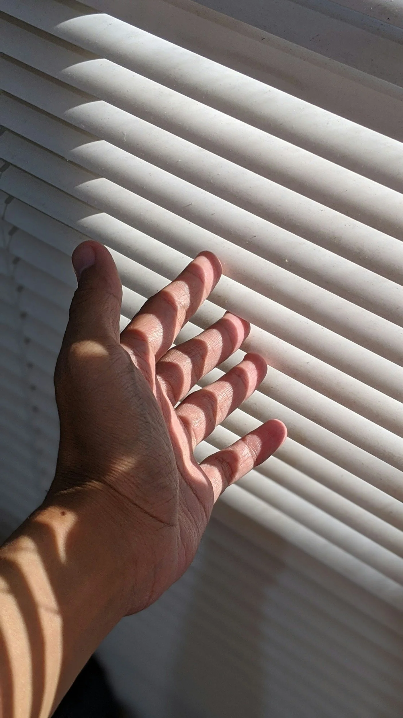 How to Clean and Maintain Your Window Treatments