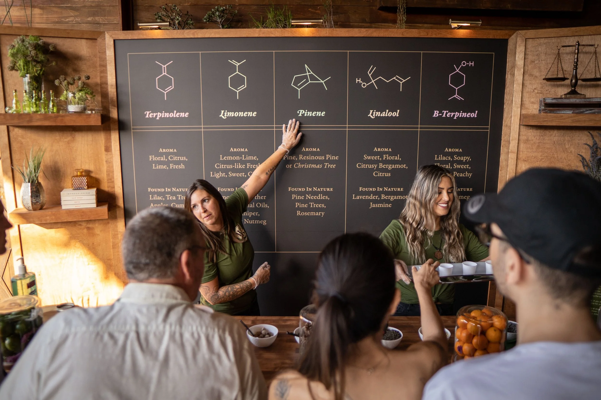 Two women teach about different aromatics, gesturing towards a blackboard with chemical structures and descriptions of Terpinolene, Limonene, Pinene, Linalool, and B-Terpineol in a cozy wooden room.