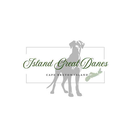 Island Great Danes