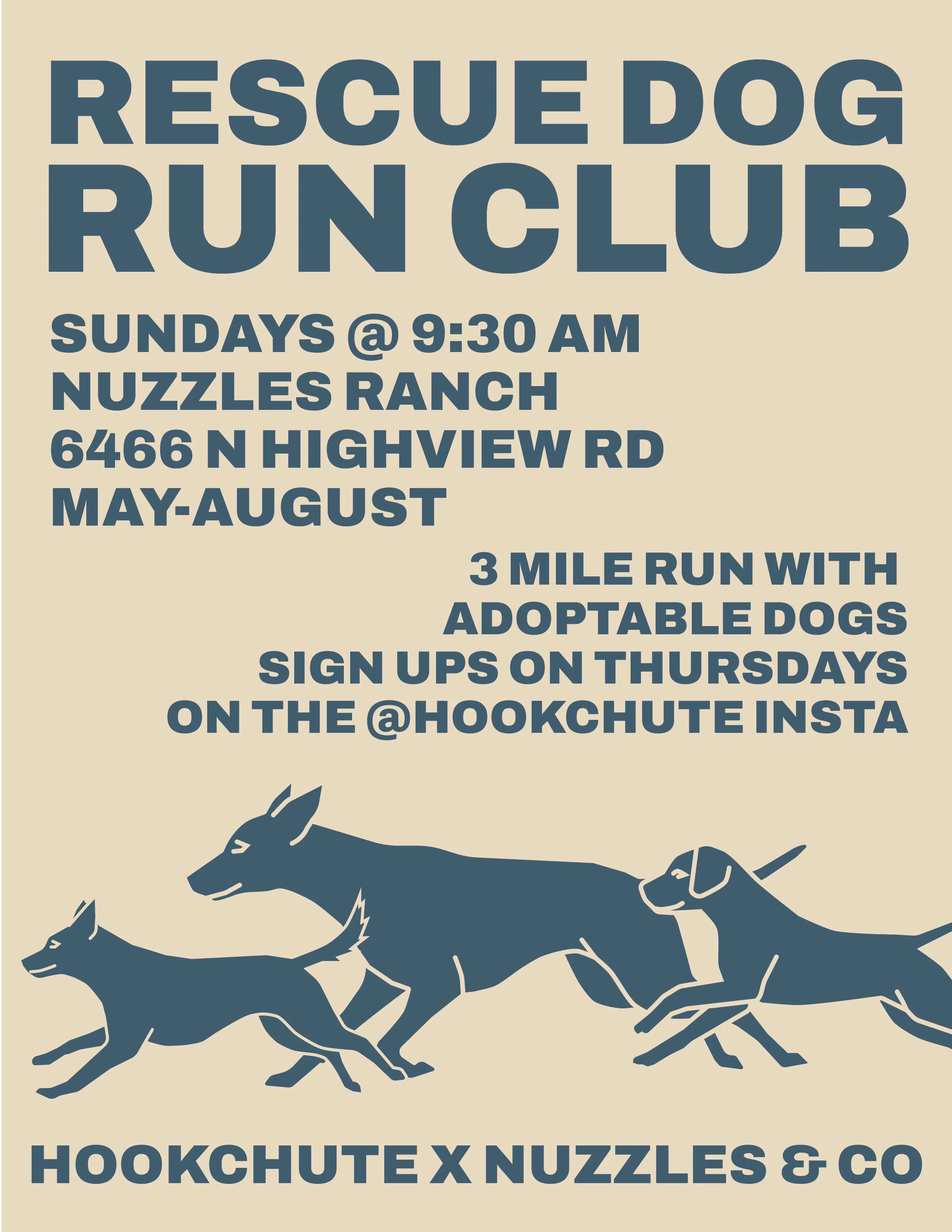 rescue dog run club 