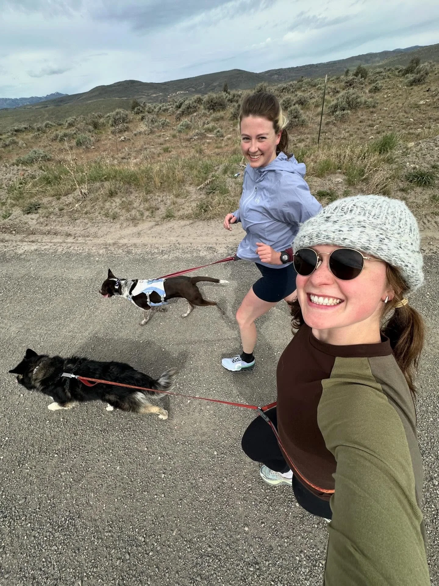rescue dog run club with nuzzles and co!! @nuzzlesandco 
see you next sunday! we ran with miso (husky mix) and mikey(brown and white mix), they are both so cute and amazing runners!! they are both for adoption at nuzzles and co!