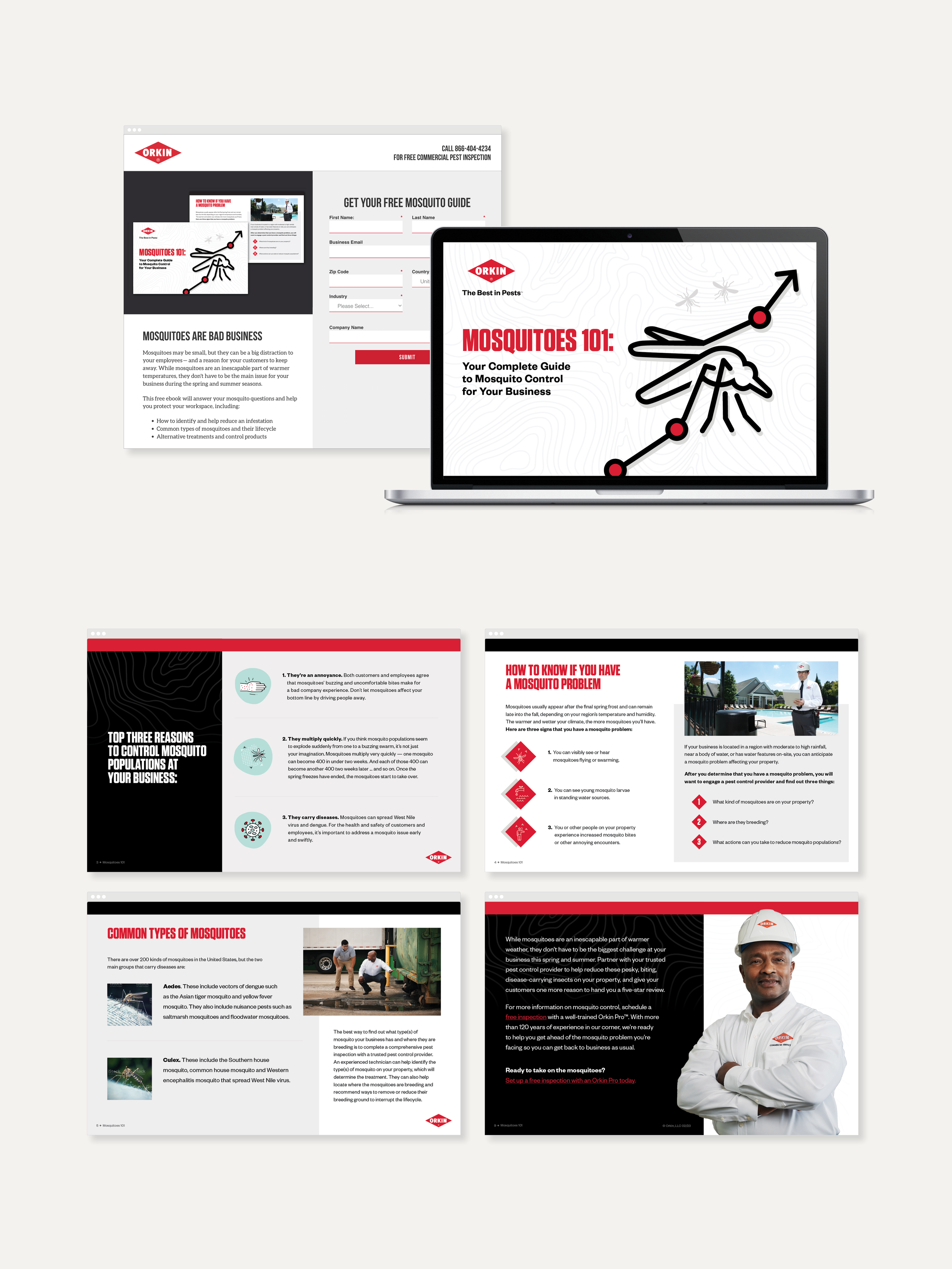 E-Book, Landing Page