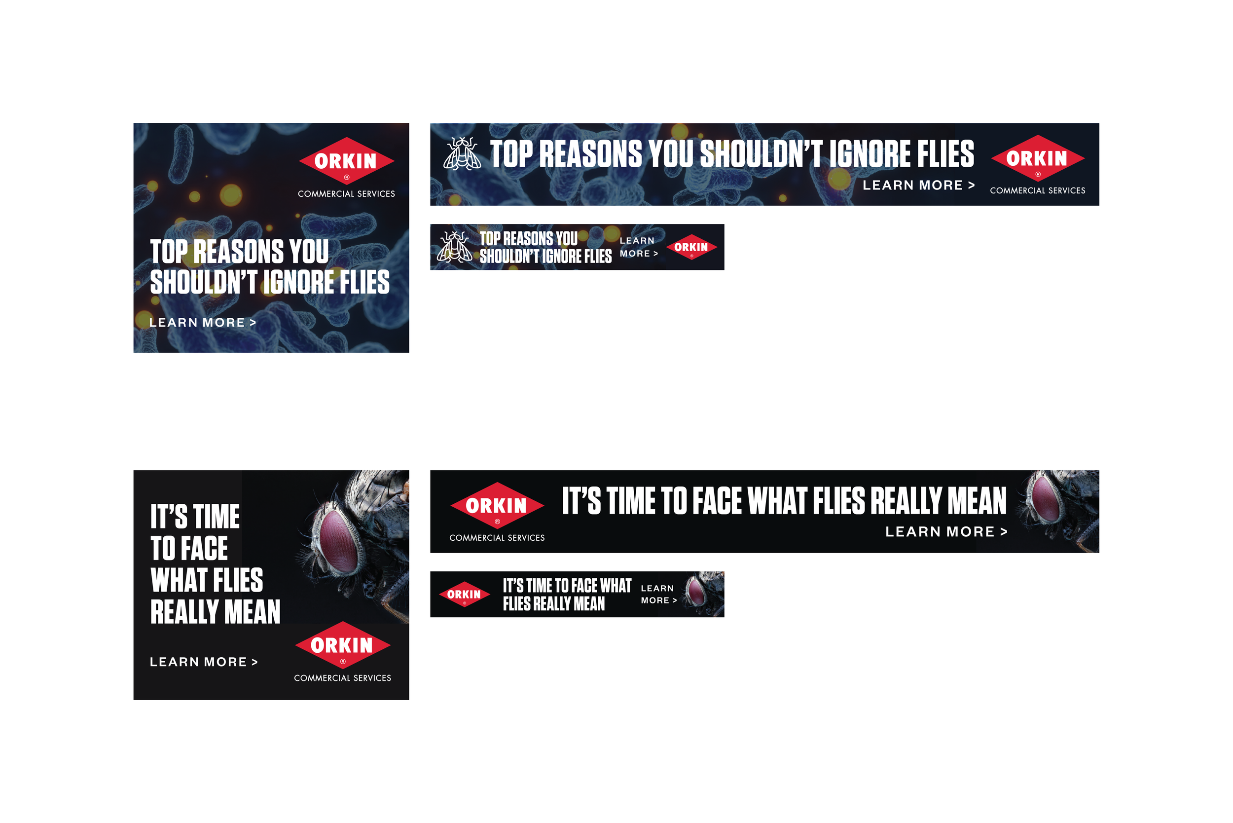 Orkin-Portfolio-layout-2_Artboard copy.png