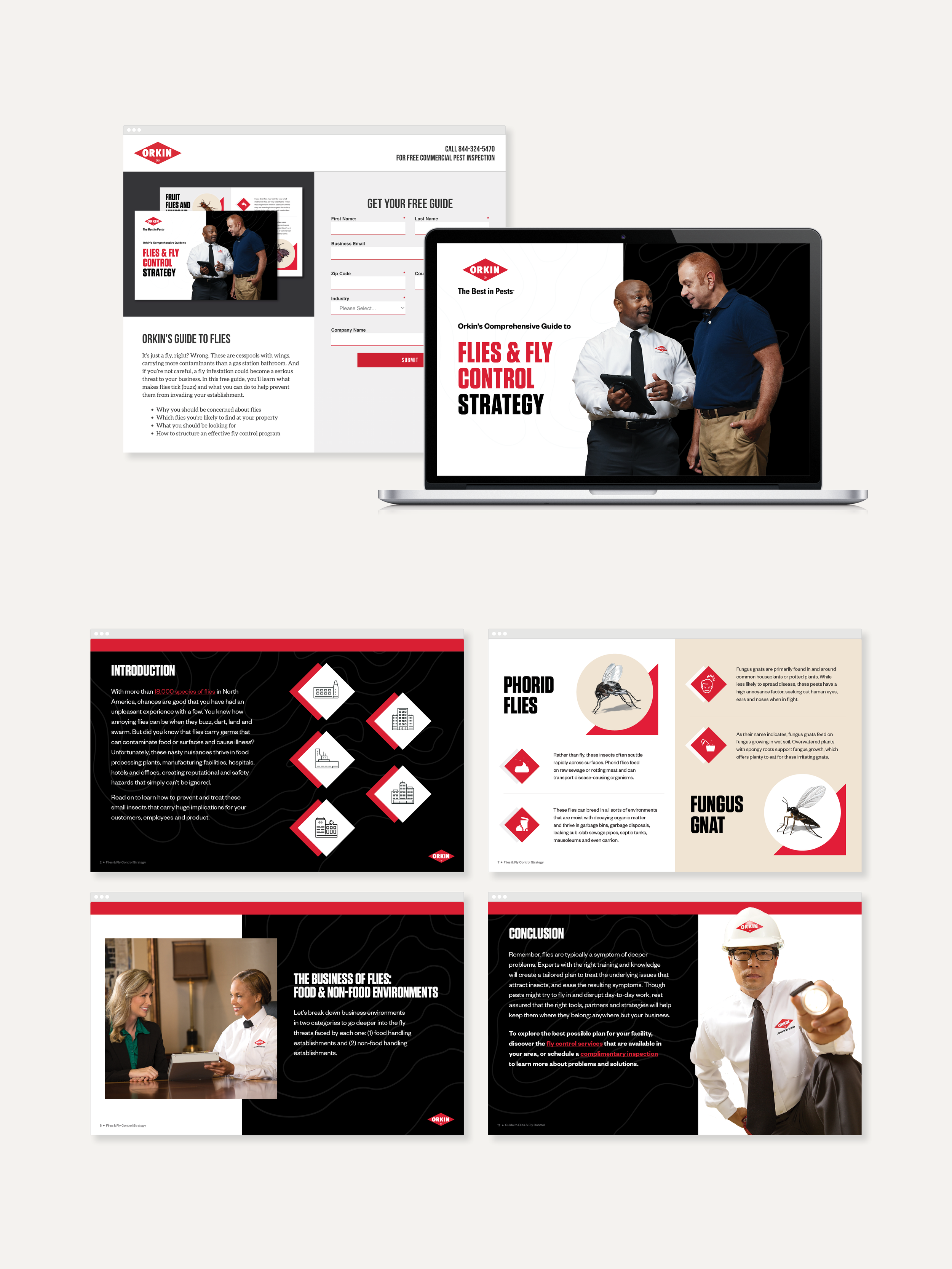Orkin-Portfolio-Layout-VERT-2.png