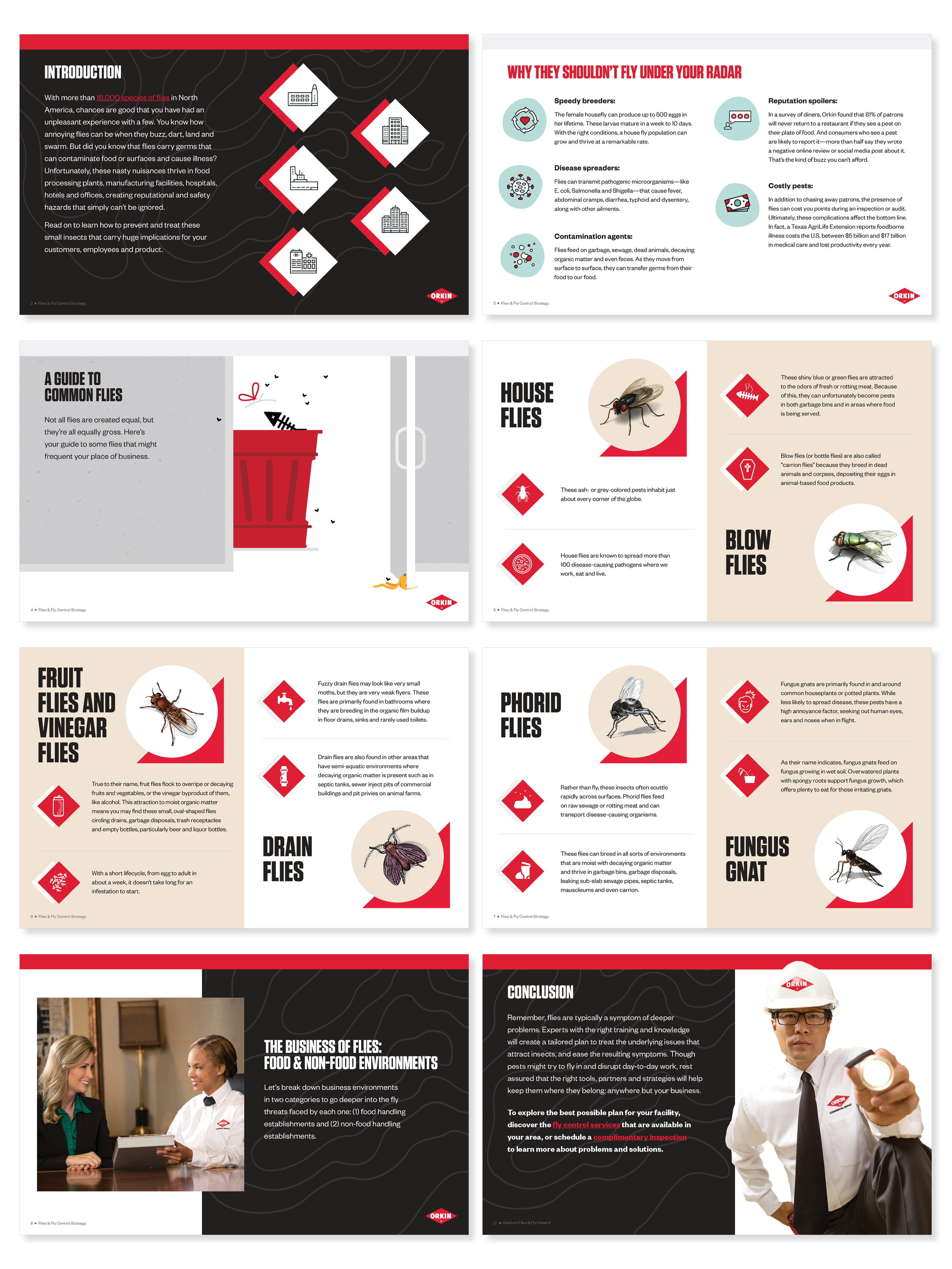 Evergreen — Fly Guide
