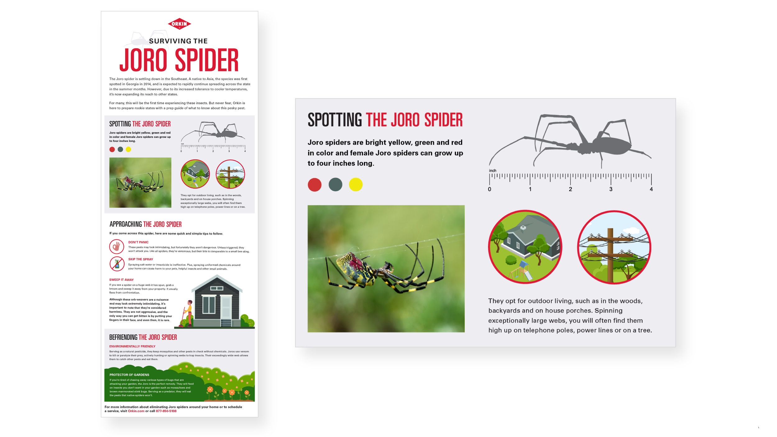 Slides-Portfolio-Layout-HORZ-MASTER-2500x1407A-3.png