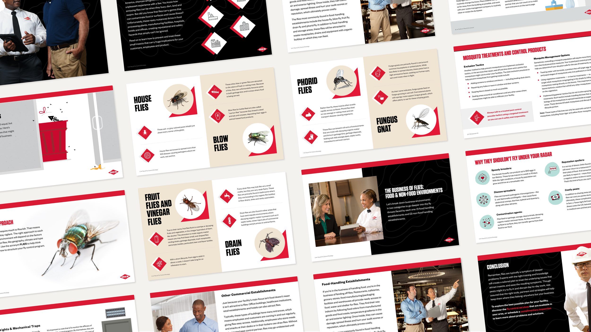 Evergreen — Fly Guide