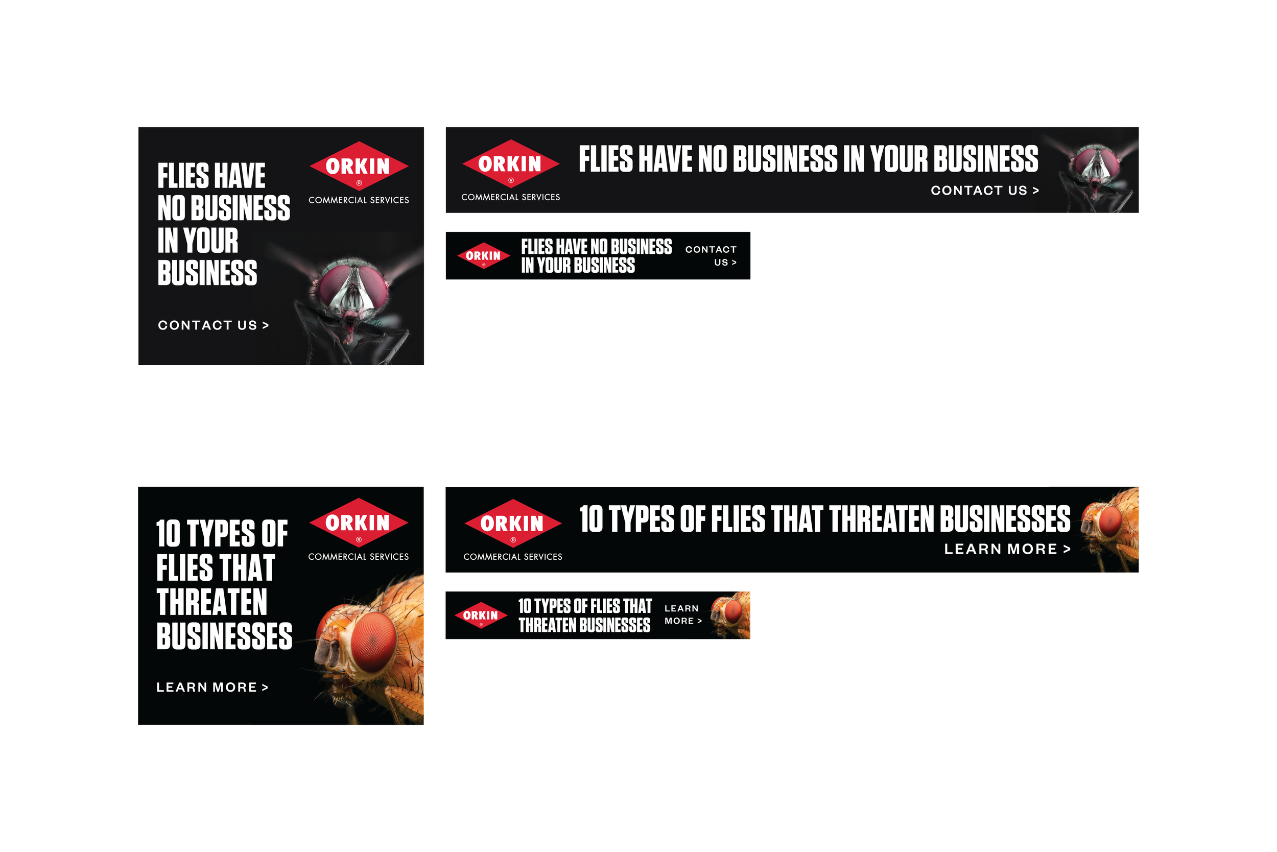 Orkin-Portfolio-layout-2-12.png