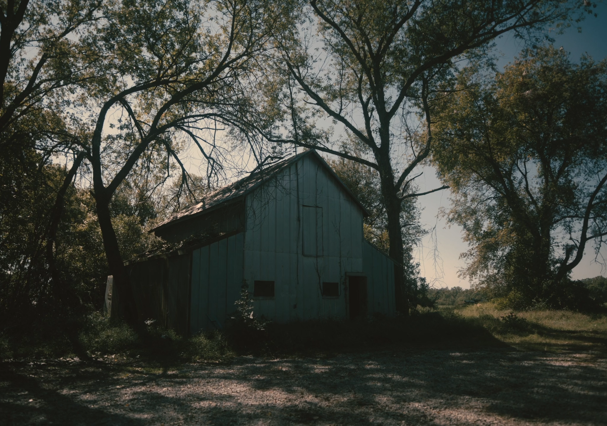 FINDING HOME