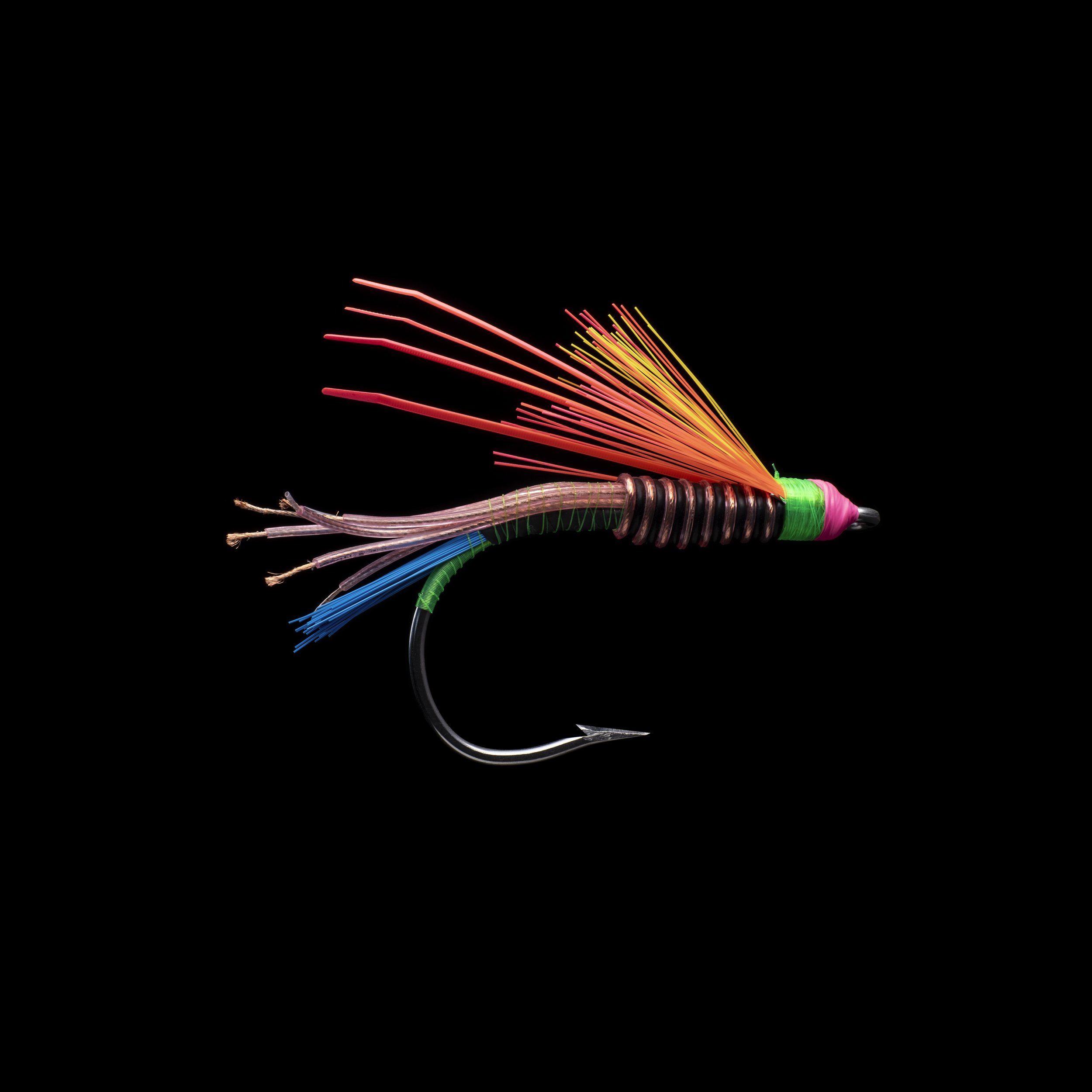 fly_byrd_74.jpg