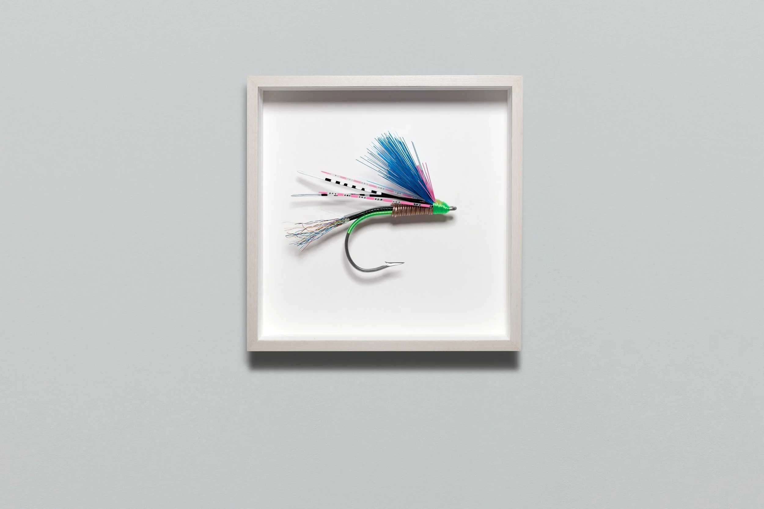 Big Fly Big Fish