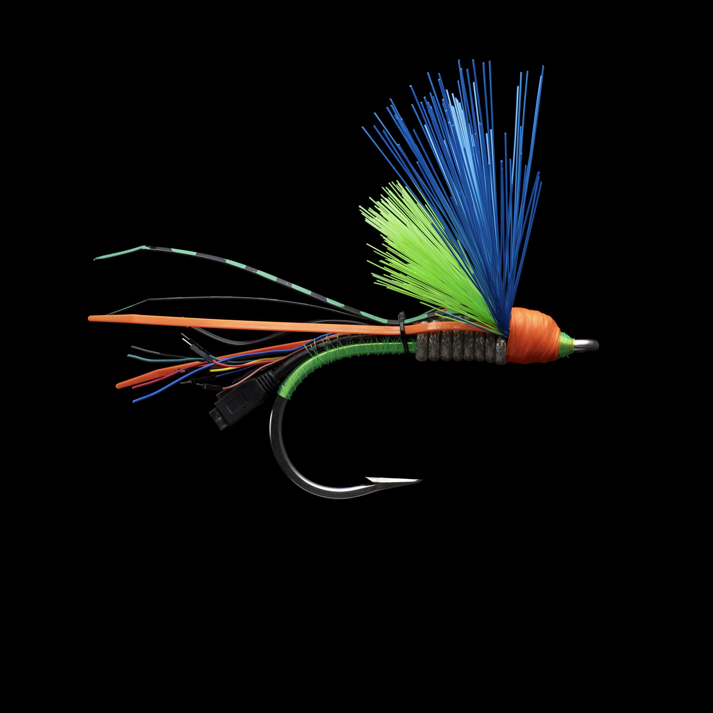 fly_byrd_34.jpg