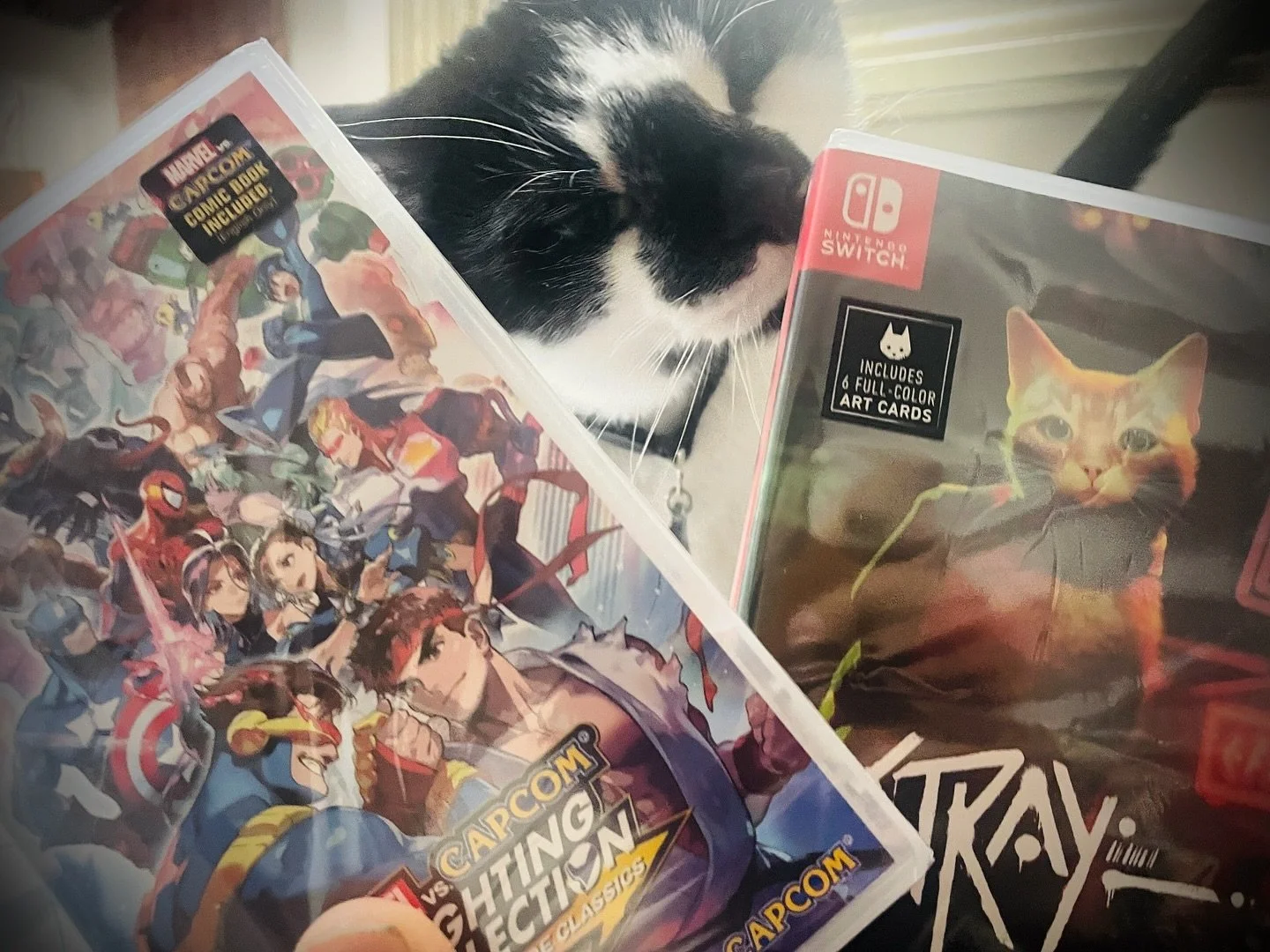 I let him decide which game to play first. I think his decision was purrrfect #stray #nintendo #capcomvsmarvel #switch