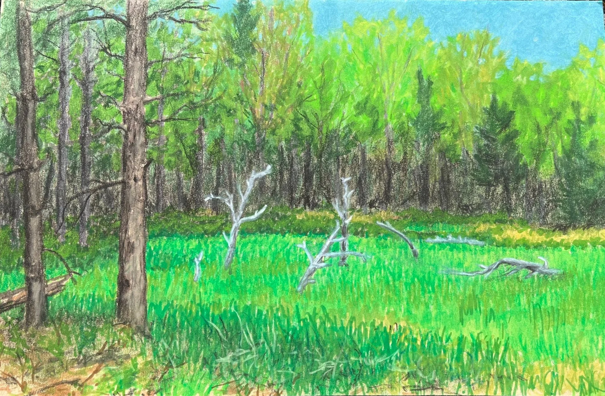 Logger's Trail
5.5"x8.5" marker, pastel, toned paper