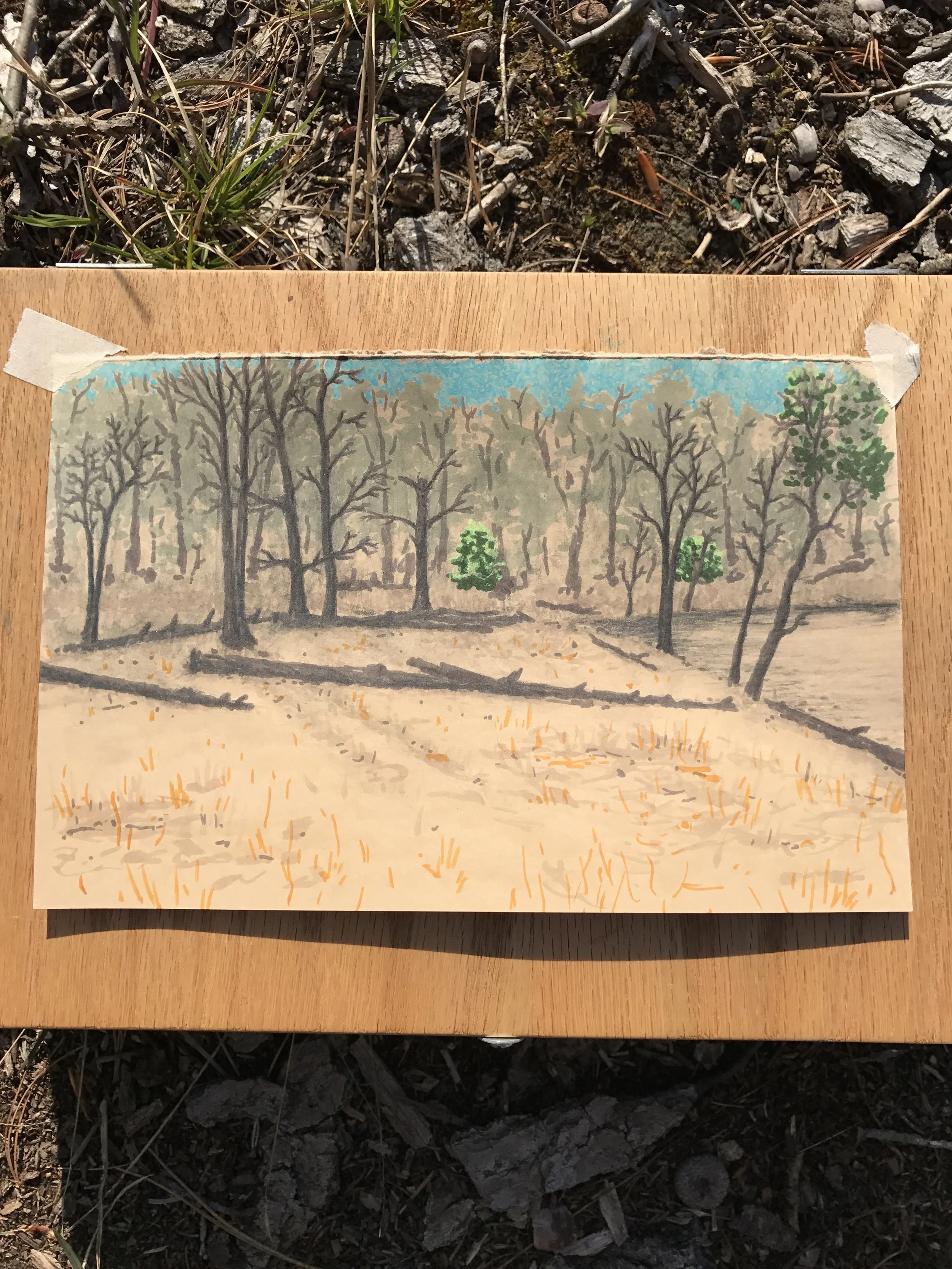 Southwest Nordhouse Lake Study
5.5" x 8.5" marker on toned paper