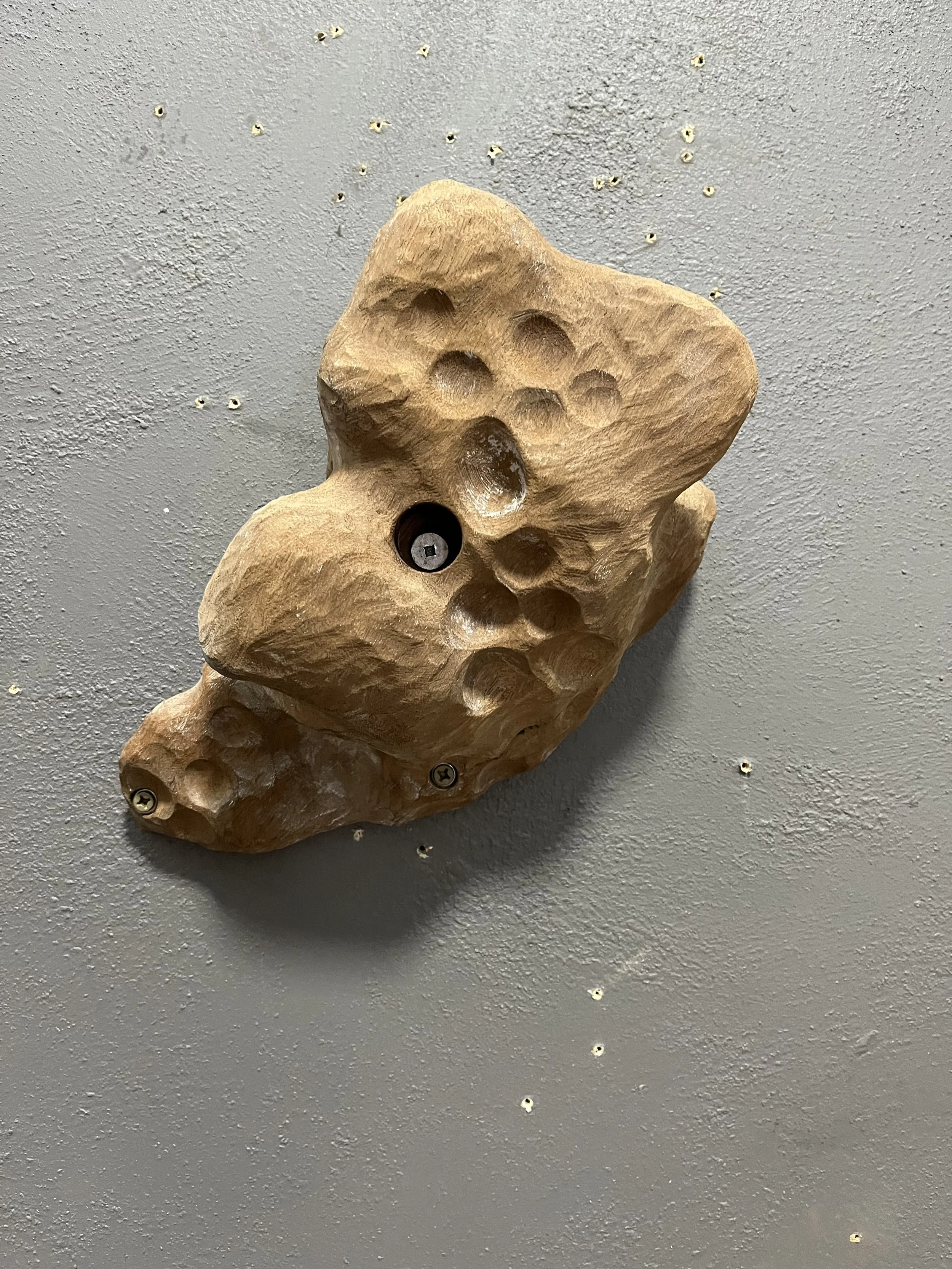 sculpted fossil jug
jarrah
